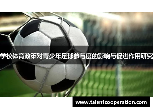 学校体育政策对青少年足球参与度的影响与促进作用研究